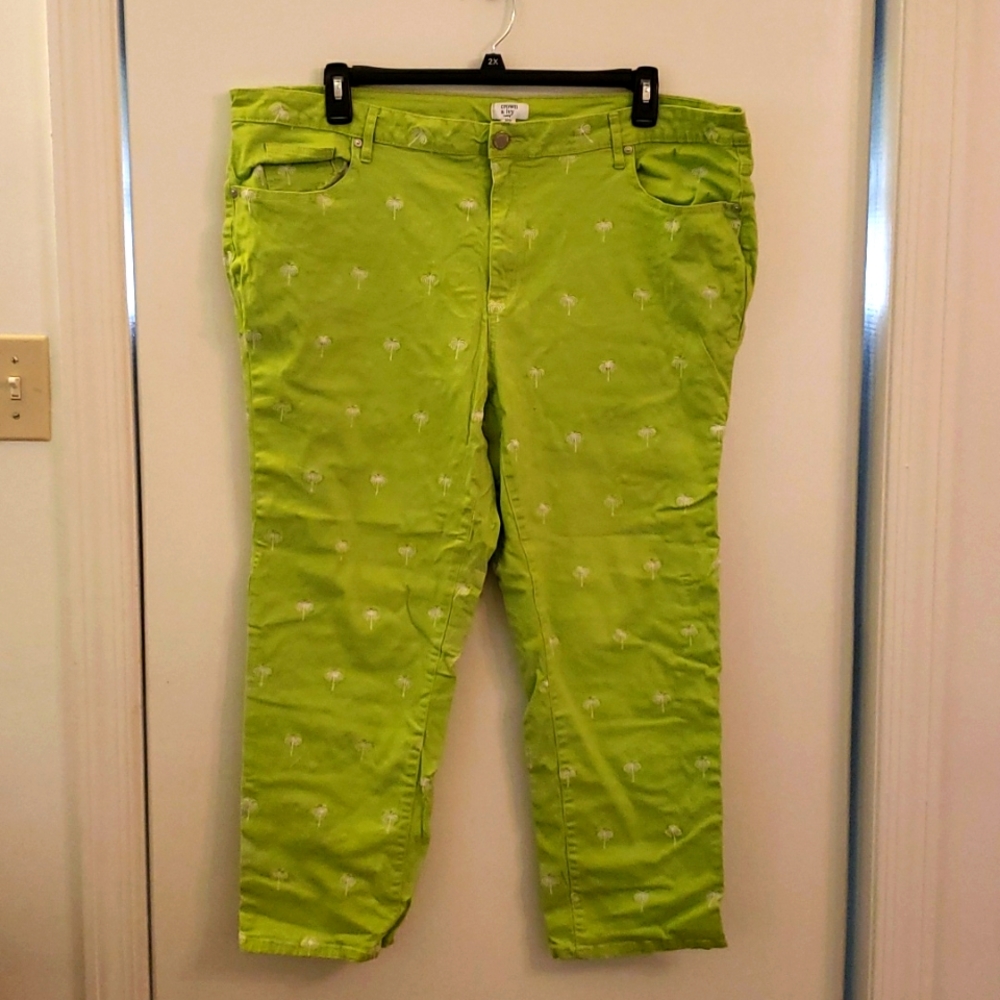 Euc crown & ivy 24w green pants